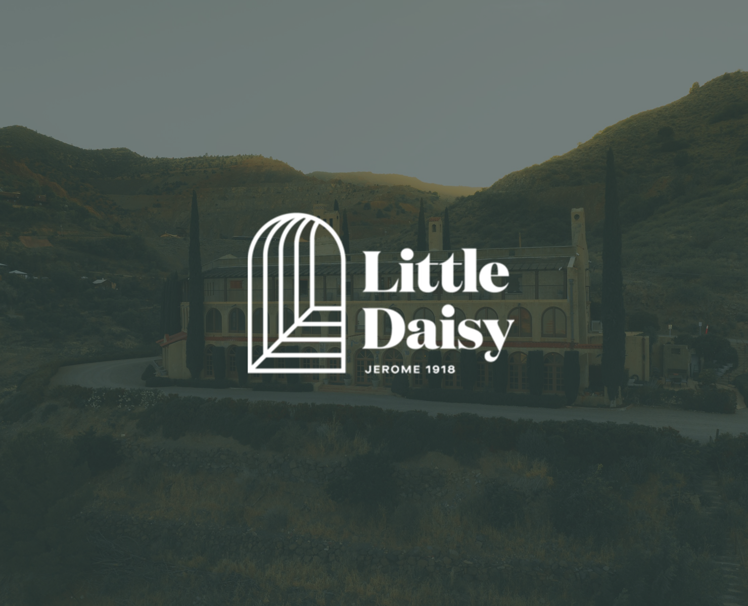 The Little Daisy