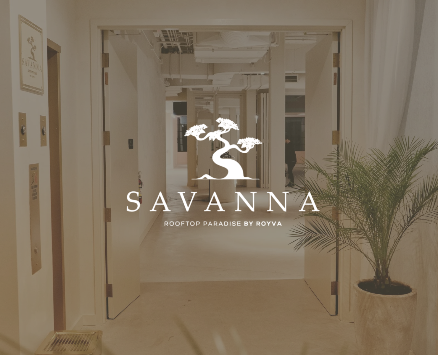 Savanna